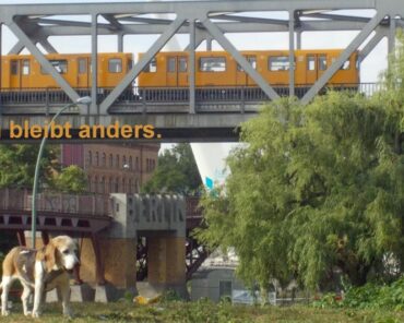 Forschung Neues Leitbild Berlins
