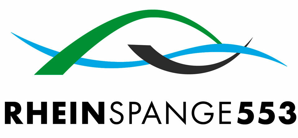 Evaluation Öffentlichkeitsbeteiligung Rheinspange 553