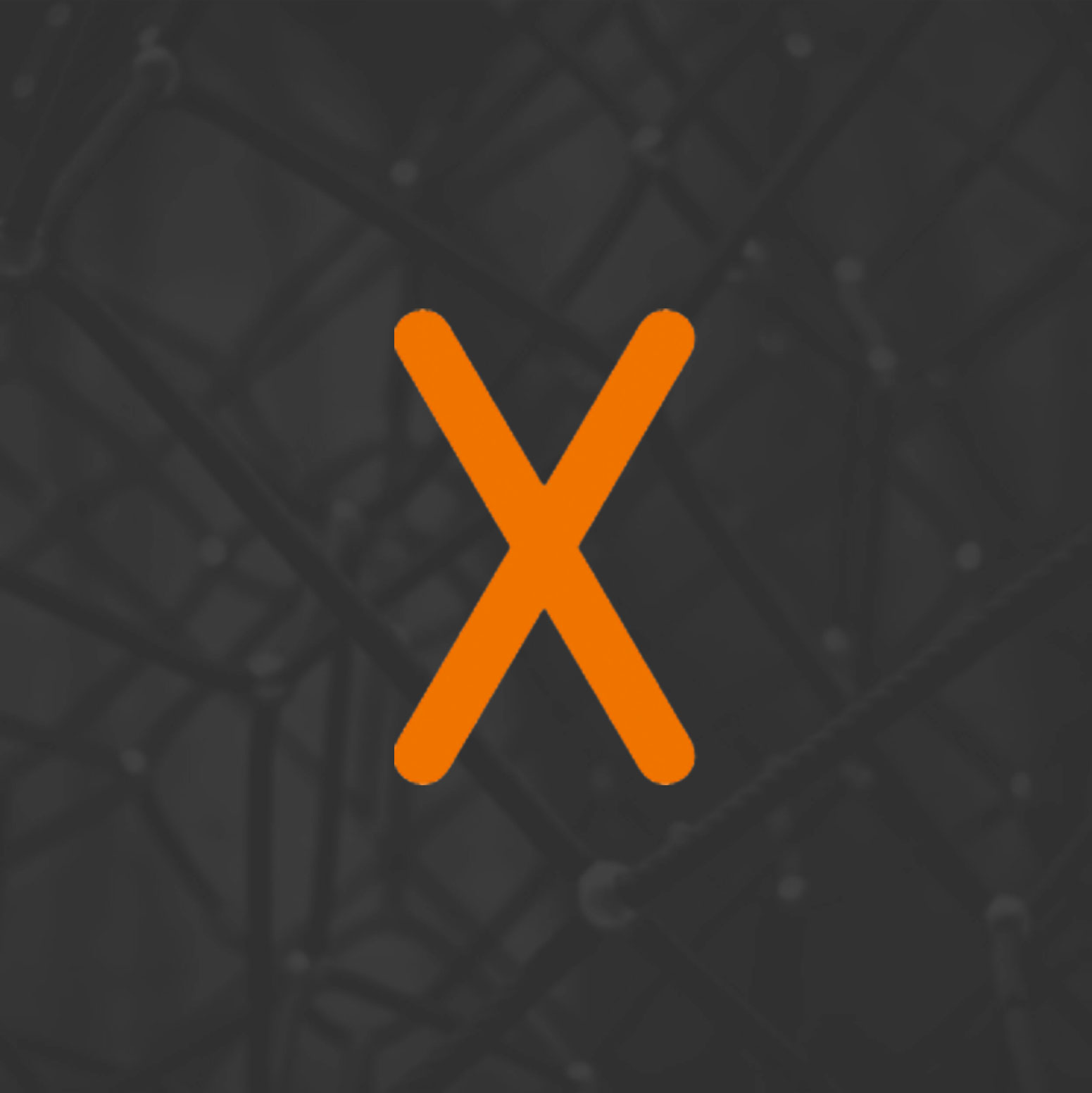 img-x img-x